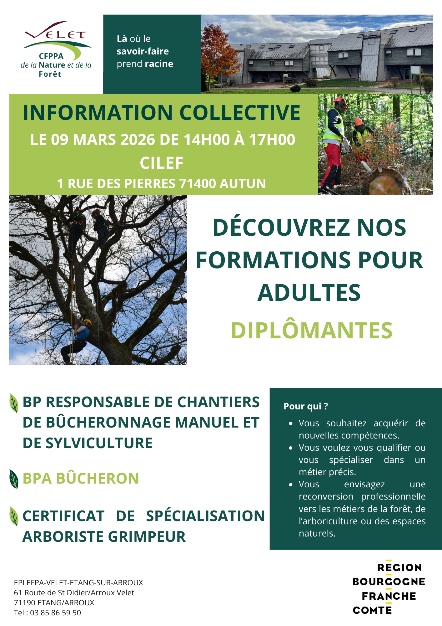 Découvrez nos formations pour adultes diplômantes