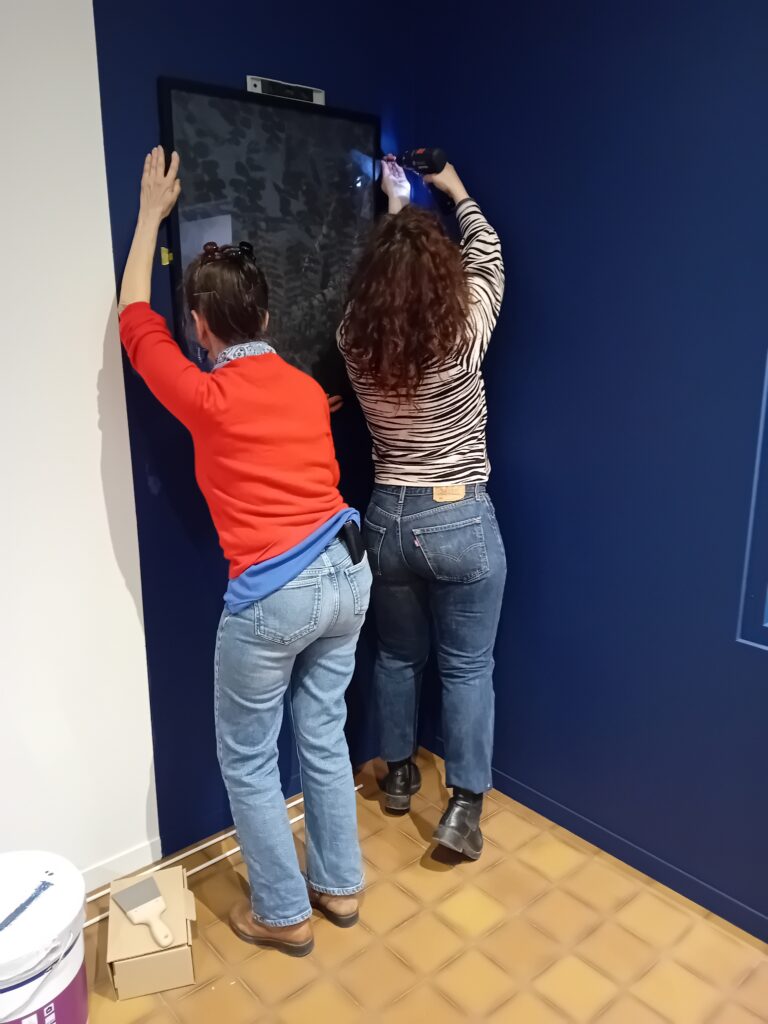 Dans les coulisses de l'exposition Cueillir le vivant, saisir l'éphémère du Muséum d'Autun