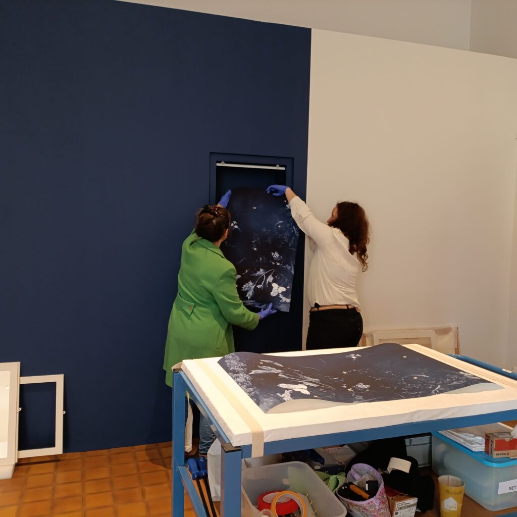 Dans les coulisses de l'exposition Cueillir le vivant, saisir l'éphémère du Muséum d'Autun