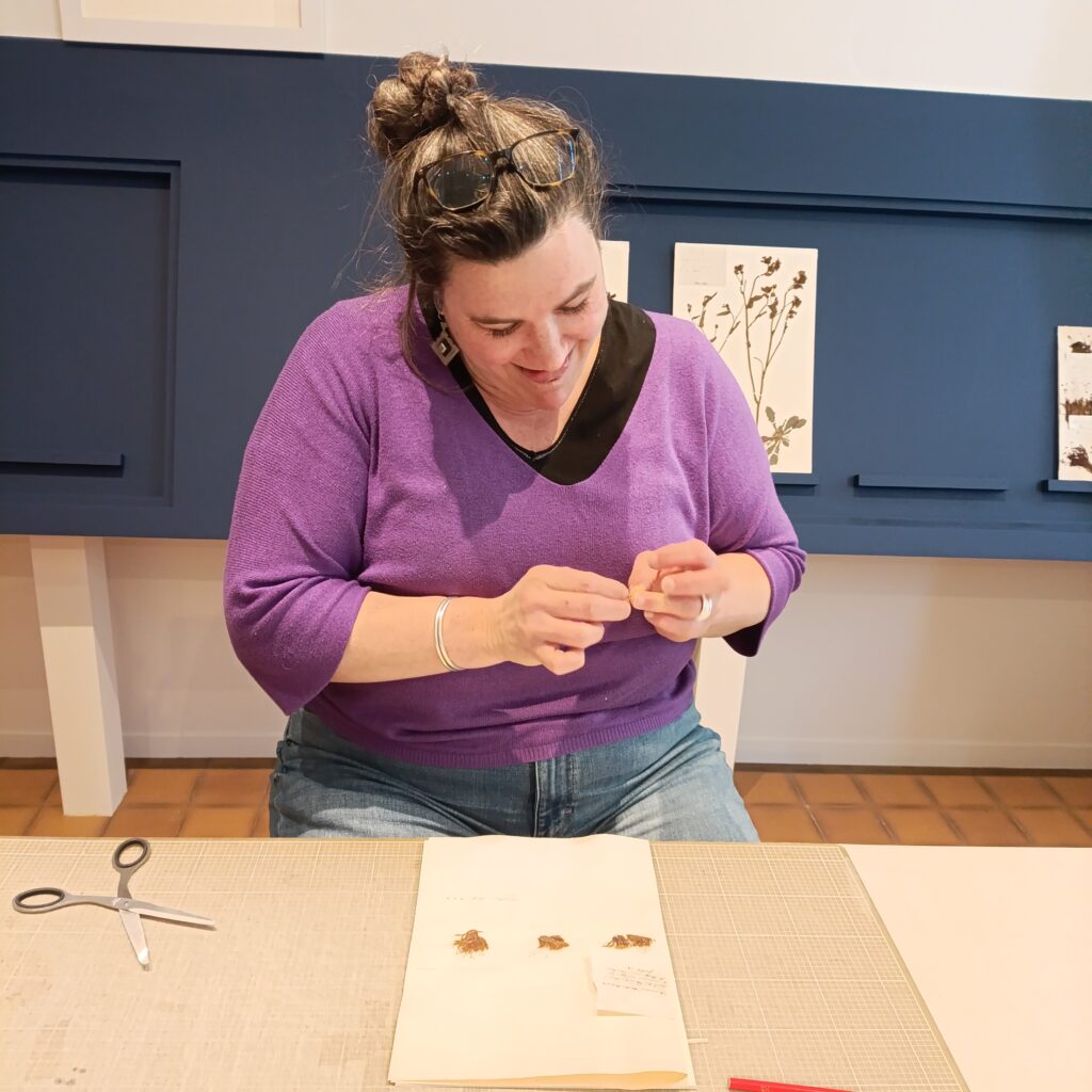 Dans les coulisses de l'exposition Cueillir le vivant, saisir l'éphémère du Muséum d'Autun