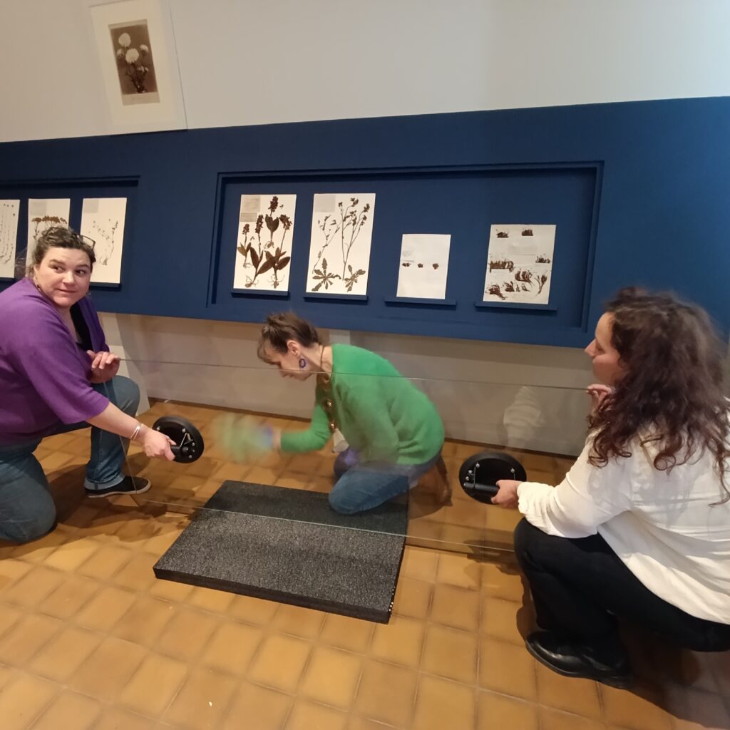 Dans les coulisses de l'exposition Cueillir le vivant, saisir l'éphémère du Muséum d'Autun