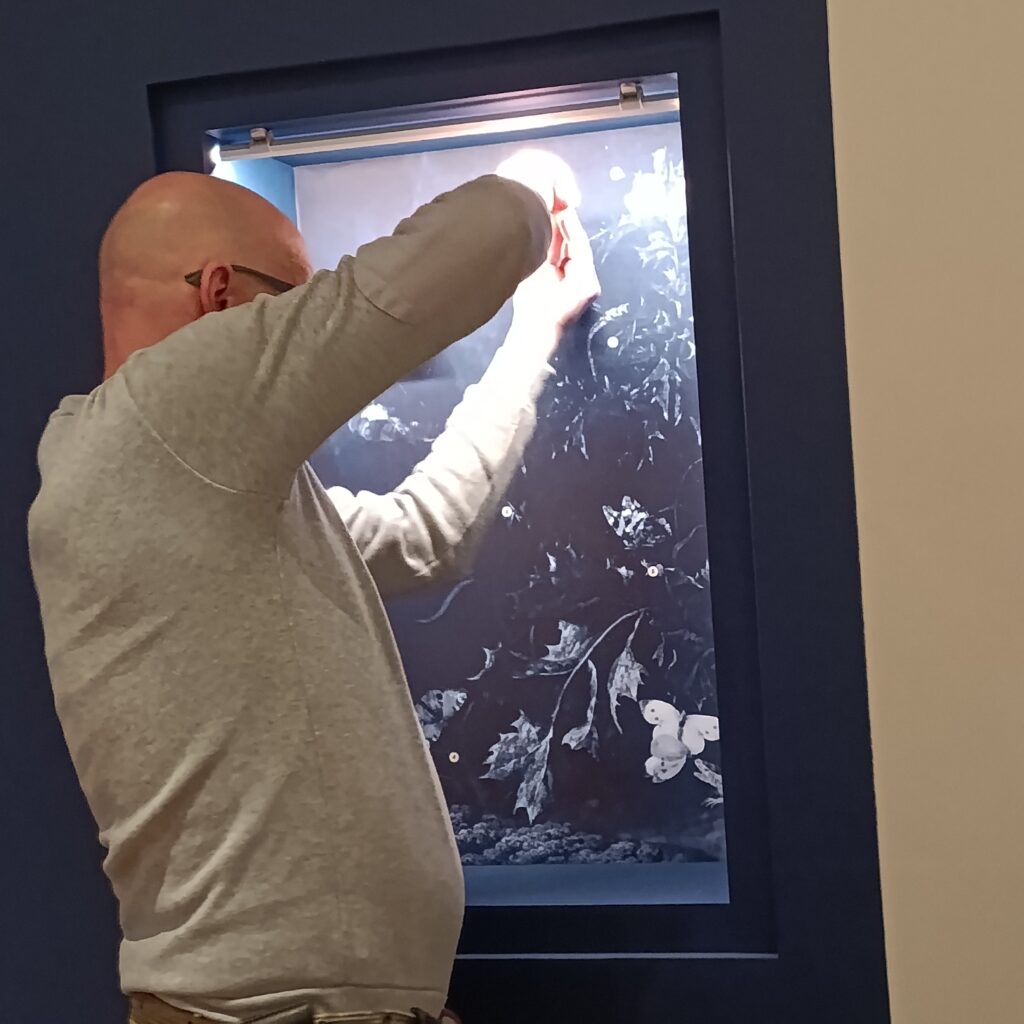 Dans les coulisses de l'exposition Cueillir le vivant, saisir l'éphémère du Muséum d'Autun