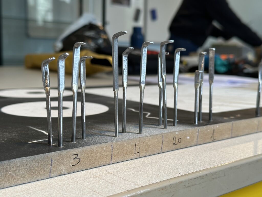Dans les coulisses de l'exposition Cueillir le vivant, saisir l'éphémère du Muséum d'Autun