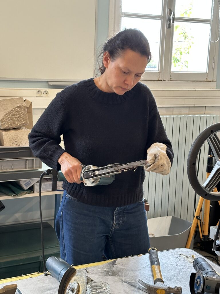 Dans les coulisses de l'exposition Cueillir le vivant, saisir l'éphémère du Muséum d'Autun