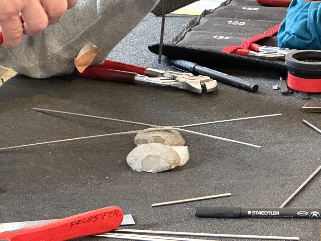 Dans les coulisses de l'exposition Cueillir le vivant, saisir l'éphémère du Muséum d'Autun