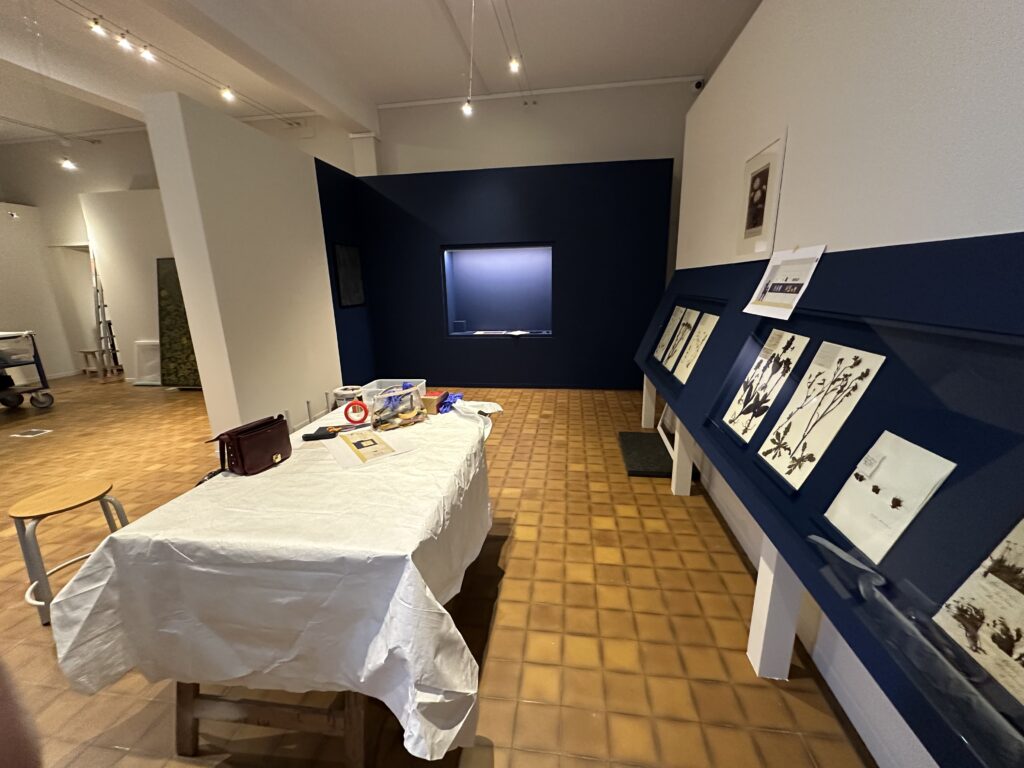 Dans les coulisses de l'exposition Cueillir le vivant, saisir l'éphémère du Muséum d'Autun