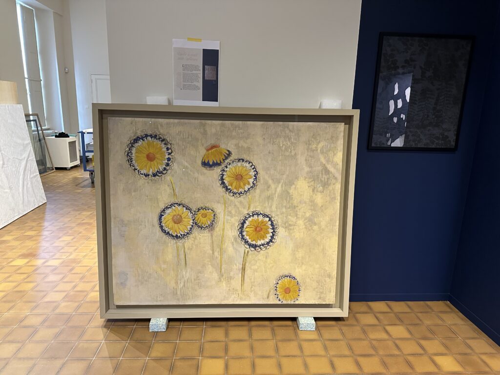 Dans les coulisses de l'exposition Cueillir le vivant, saisir l'éphémère du Muséum d'Autun