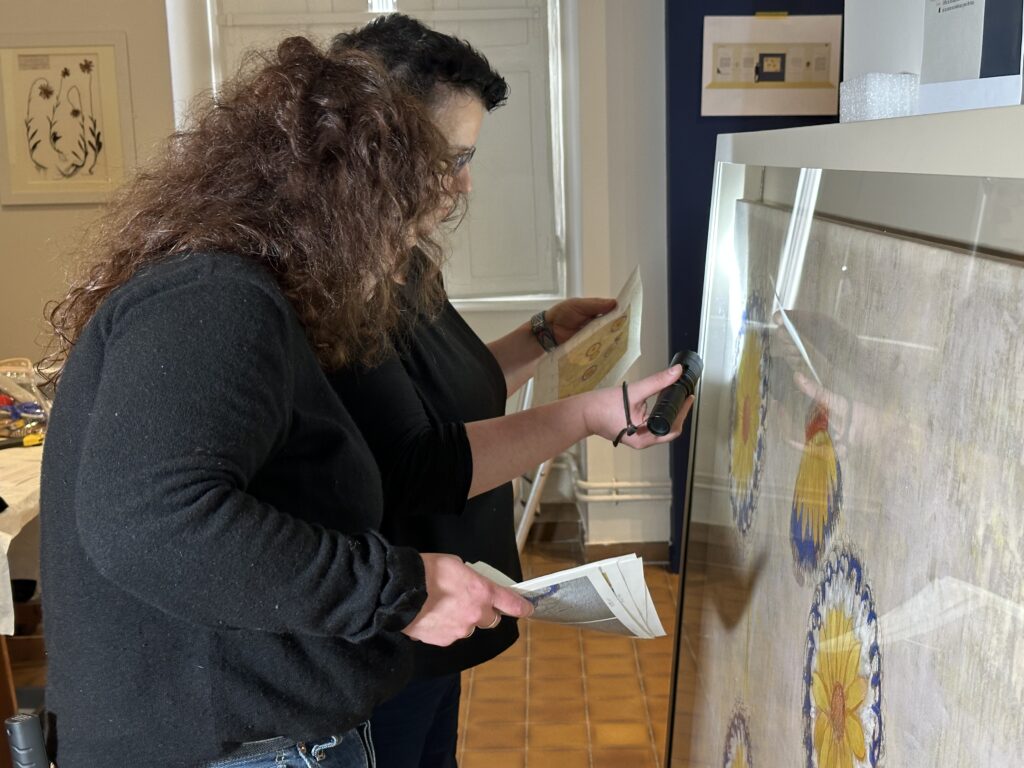 Dans les coulisses de l'exposition Cueillir le vivant, saisir l'éphémère du Muséum d'Autun