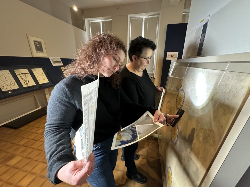 Dans les coulisses de l'exposition Cueillir le vivant, saisir l'éphémère du Muséum d'Autun