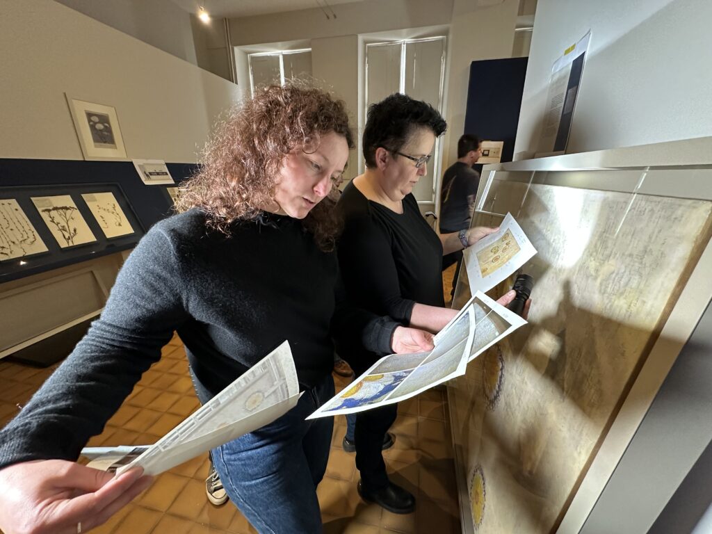 Dans les coulisses de l'exposition Cueillir le vivant, saisir l'éphémère du Muséum d'Autun