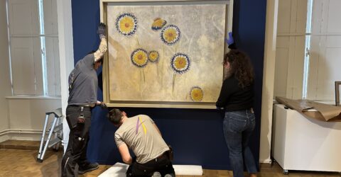 Dans les coulisses de l'exposition Cueillir le vivant, saisir l'éphémère du Muséum d'Autun