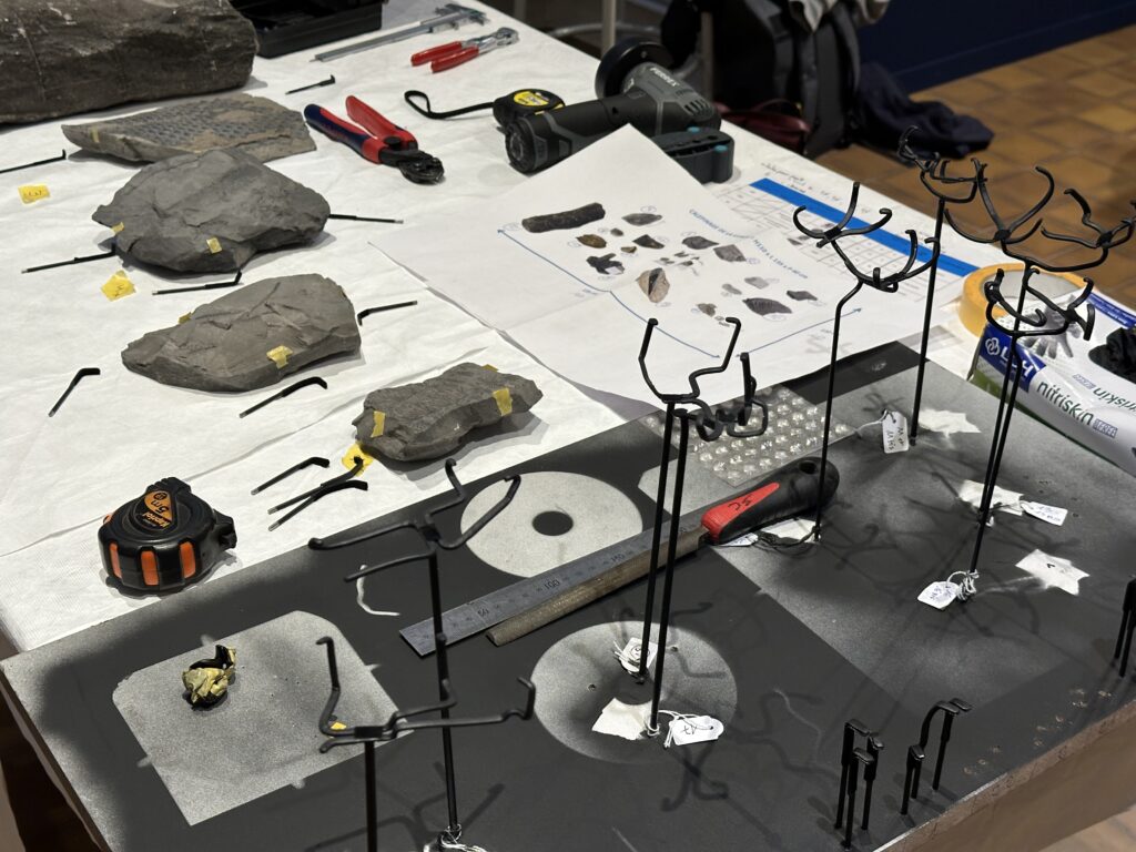 Dans les coulisses de l'exposition Cueillir le vivant, saisir l'éphémère du Muséum d'Autun