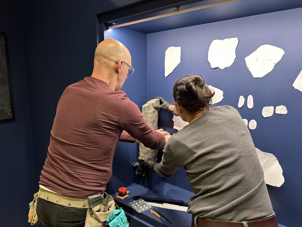 Dans les coulisses de l'exposition Cueillir le vivant, saisir l'éphémère du Muséum d'Autun
