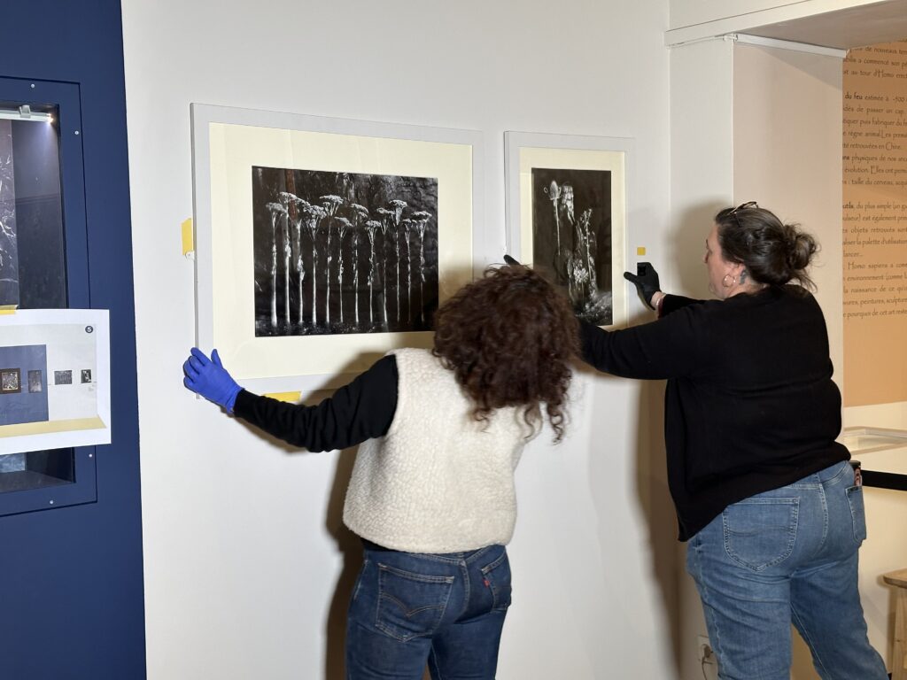 Dans les coulisses de l'exposition Cueillir le vivant, saisir l'éphémère du Muséum d'Autun