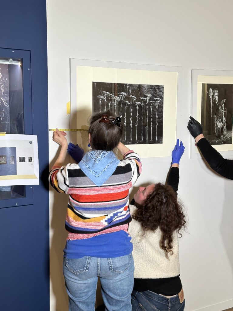 Dans les coulisses de l'exposition Cueillir le vivant, saisir l'éphémère du Muséum d'Autun