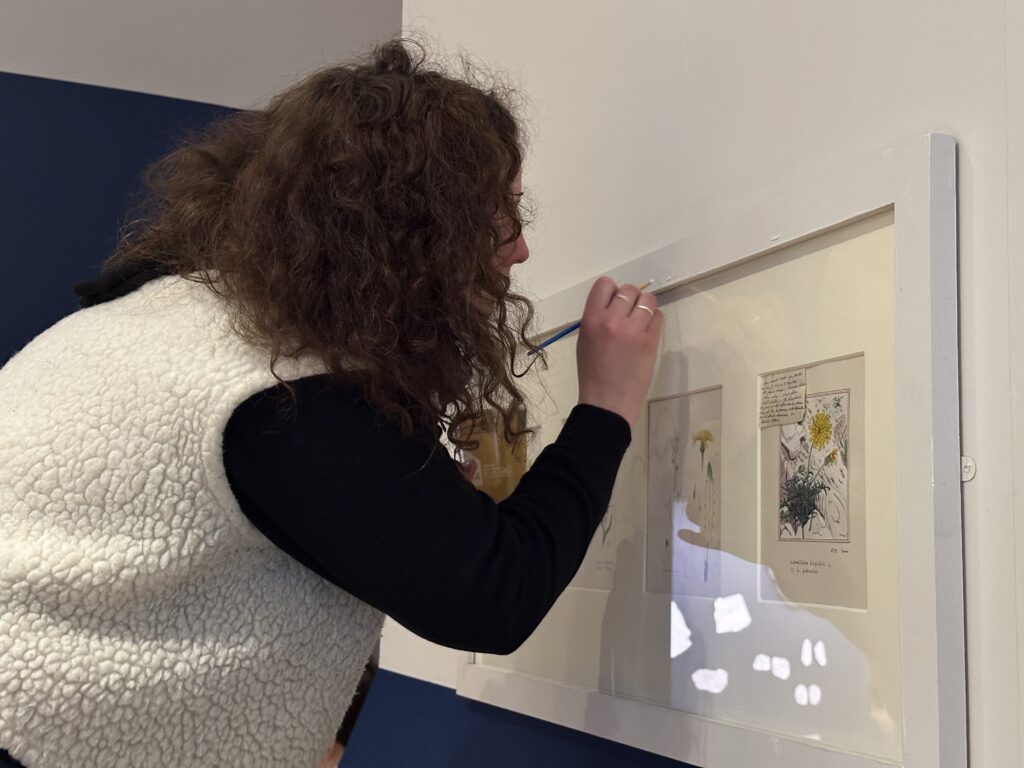 Dans les coulisses de l'exposition Cueillir le vivant, saisir l'éphémère du Muséum d'Autun