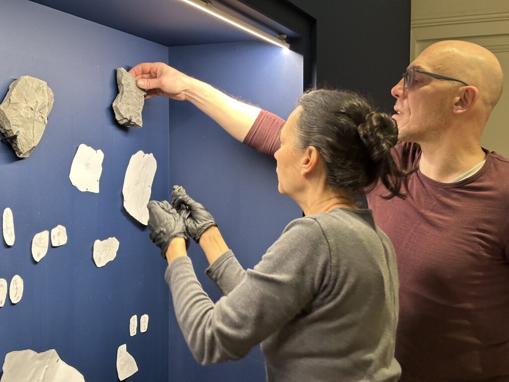 Dans les coulisses de l'exposition Cueillir le vivant, saisir l'éphémère du Muséum d'Autun
