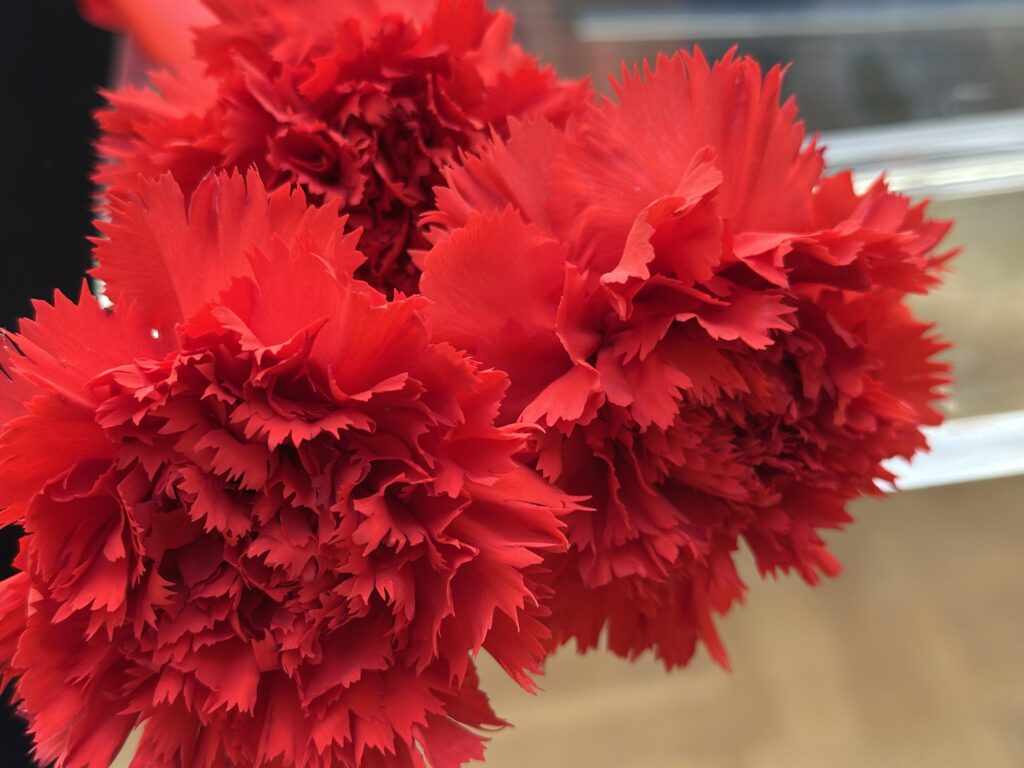 Expo : « 25 de abril de 1974 vivências e memoria », du 5 au 9 avril