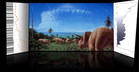 Conféreence. "Fossiles, biodiversité, climats et extinctions : la valse des espèces"