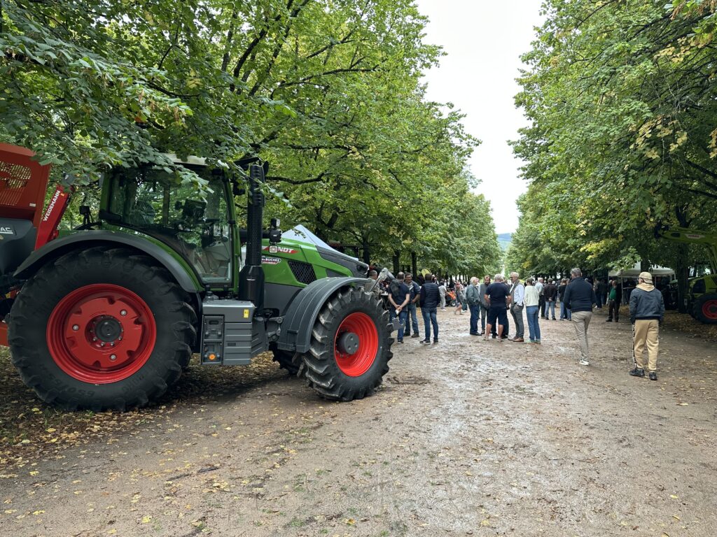 La traditionnelle foire Saint-Ladre anime le centre-ville d’Autun