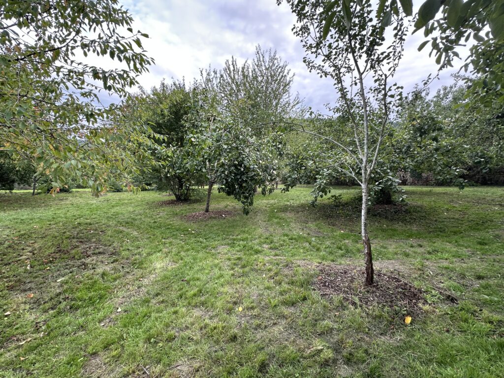 Jardin Jean Roidot-Déléage : un écrin de nature à Autun