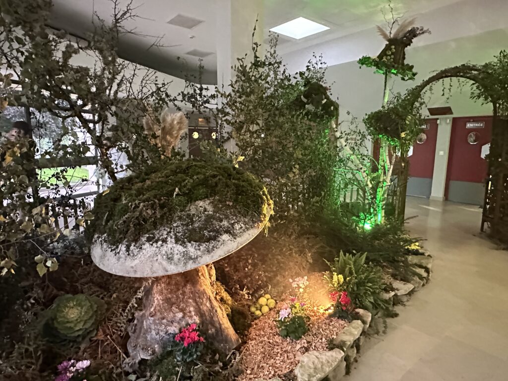 Retour sur le défilé de mode d’Autun