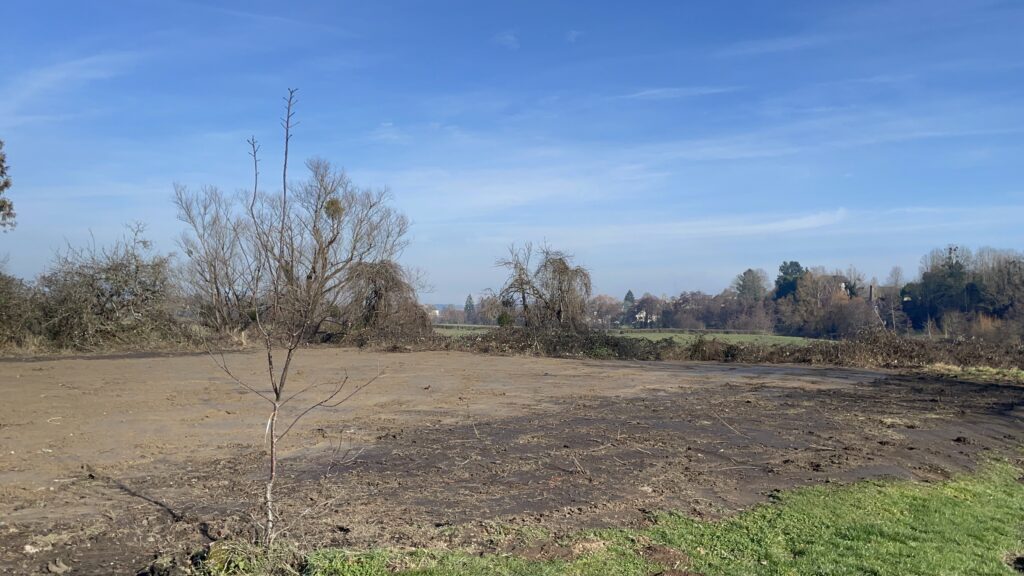 La Genetoye : bientôt un nouvel espace naturel en bord d’Arroux