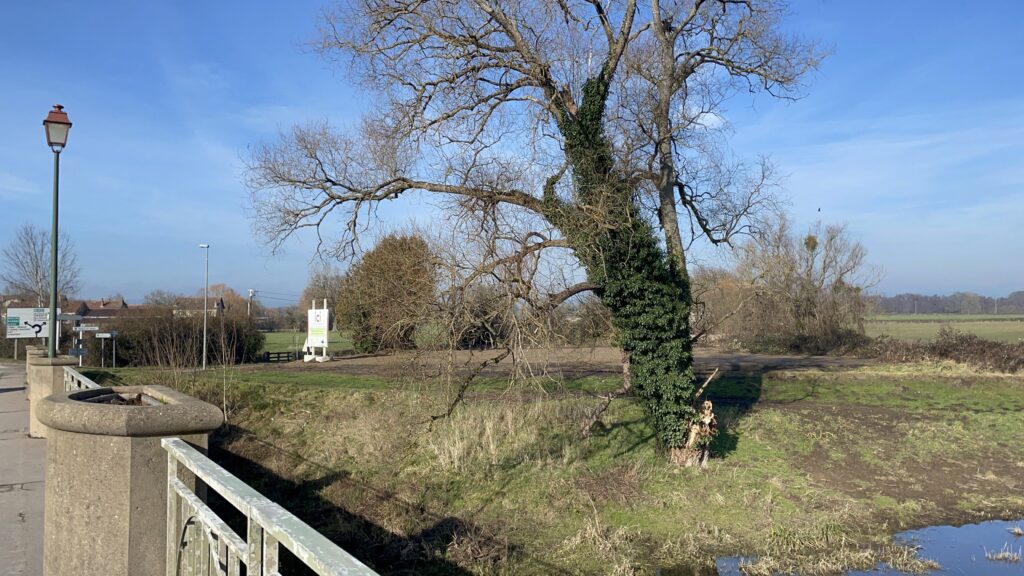 La Genetoye : bientôt un nouvel espace naturel en bord d’Arroux