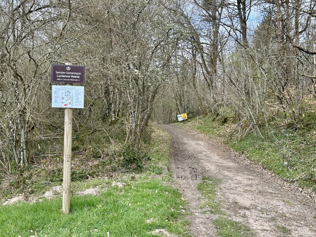 Une marche en hommage à Lulu du Morvan