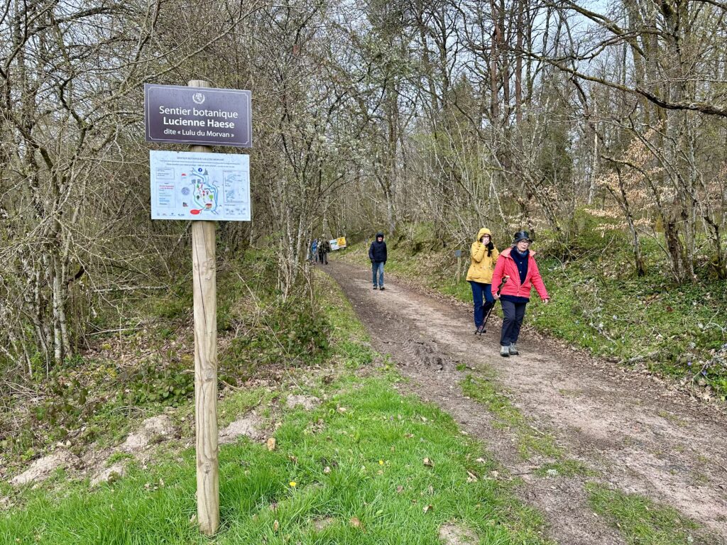 Une marche en hommage à Lulu du Morvan