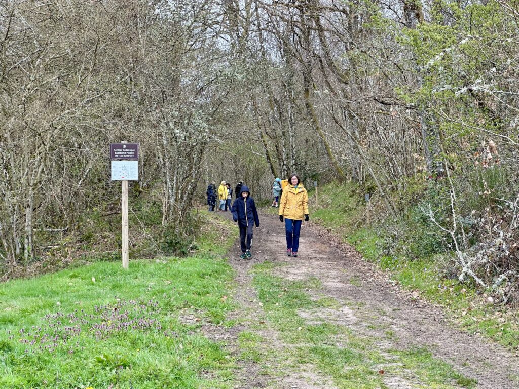 Une marche en hommage à Lulu du Morvan