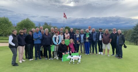 Mise au green au golf d'Autun