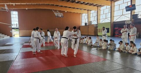 Fête du Judo-Club Autunois : une belle réussite au COSEC du Vallon