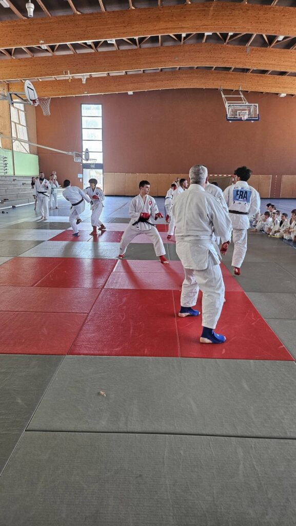 Fête du Judo-Club Autunois : une belle réussite au COSEC du Vallon