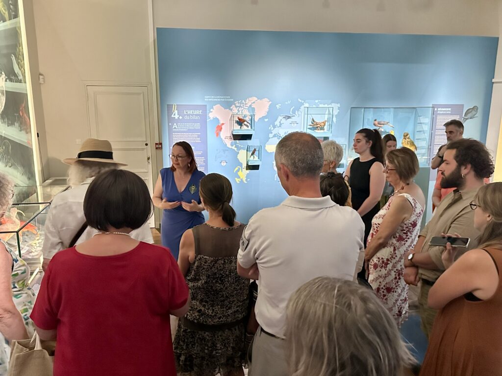« Drôles d'oiseaux ! » : le Muséum dévoile sa collection exotique