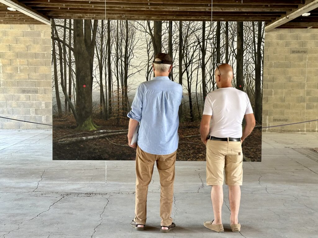 L'exposition "Natures" ouvre une parenthèse artistique à Autun
