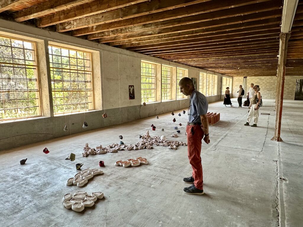 L'exposition "Natures" ouvre une parenthèse artistique à Autun