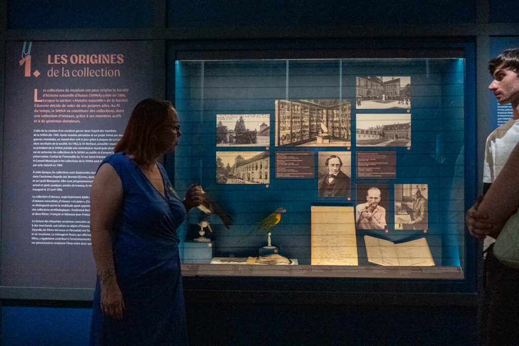 « Drôles d'oiseaux ! » : le Muséum dévoile sa collection exotique