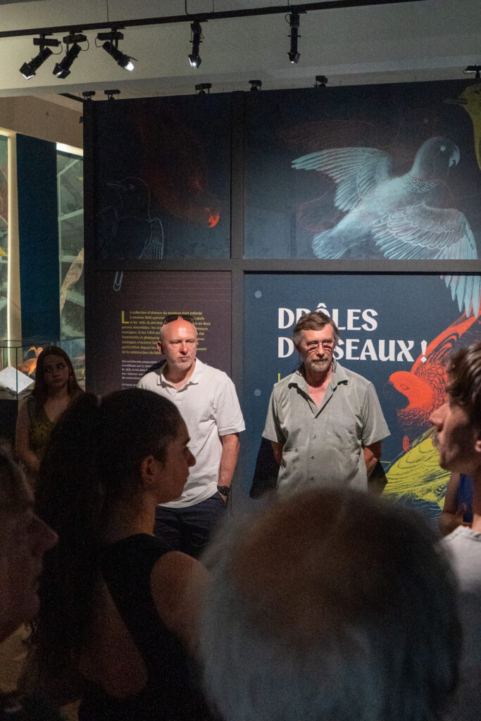 « Drôles d'oiseaux ! » : le Muséum dévoile sa collection exotique