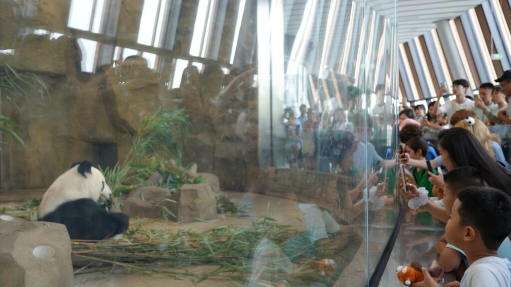 Une immersion inoubliable en Chine pour les jeunes autunois