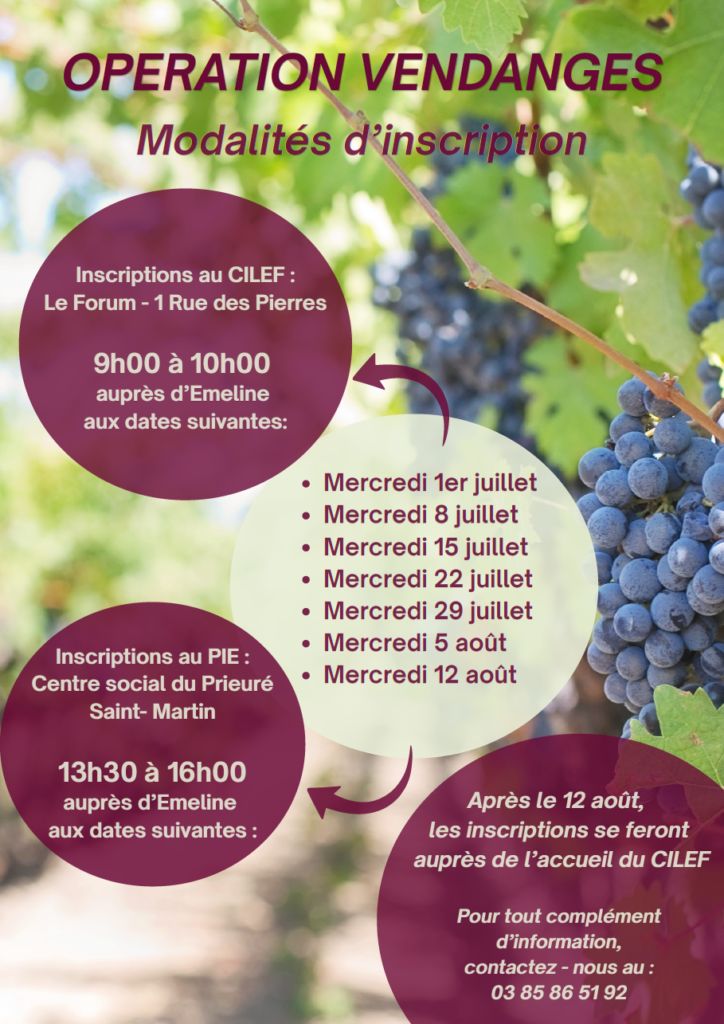 Opérations vendanges Cilef 2026, modalités d'inscription