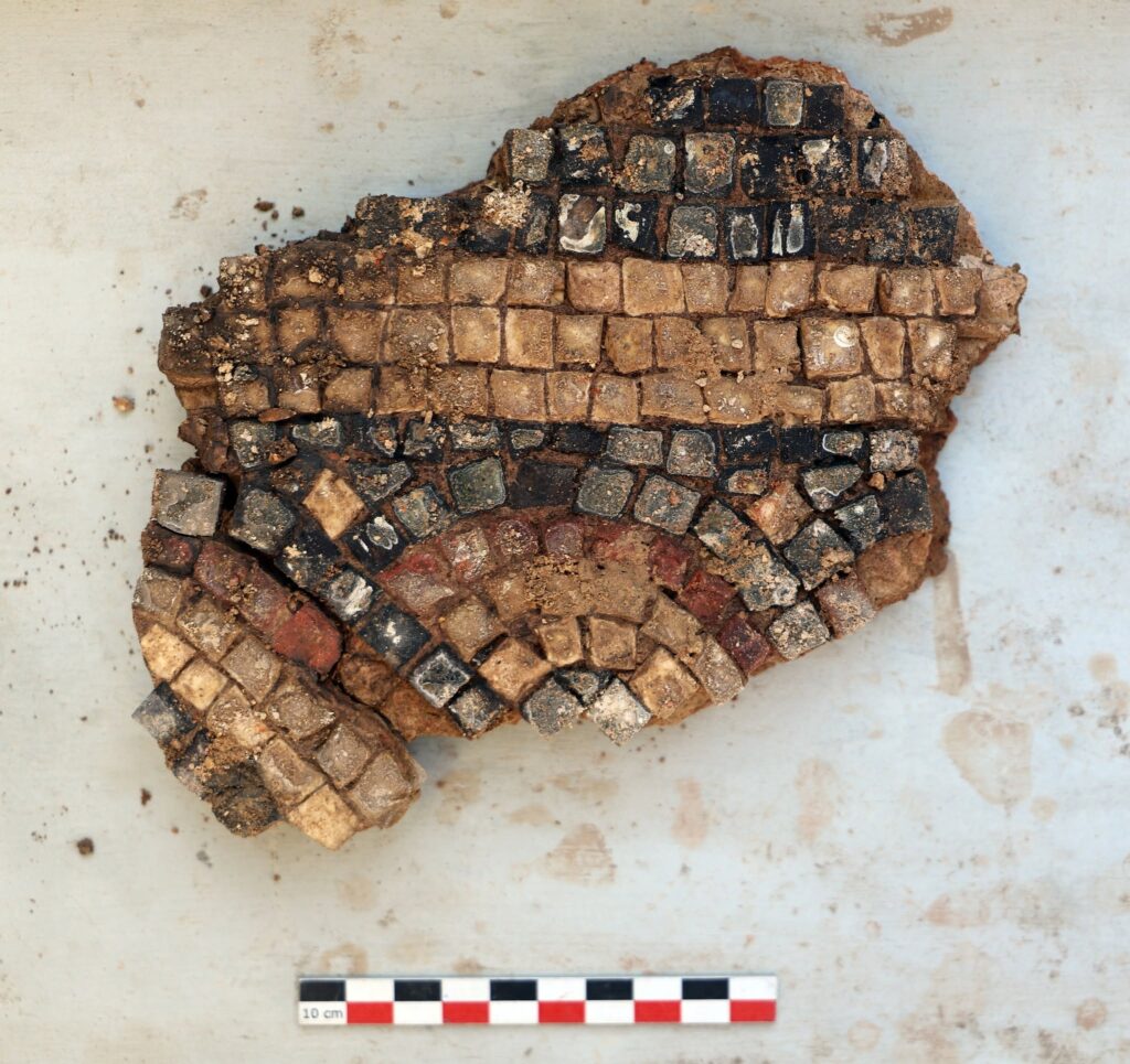 Archéologie : une maison antique découverte au collège militaire