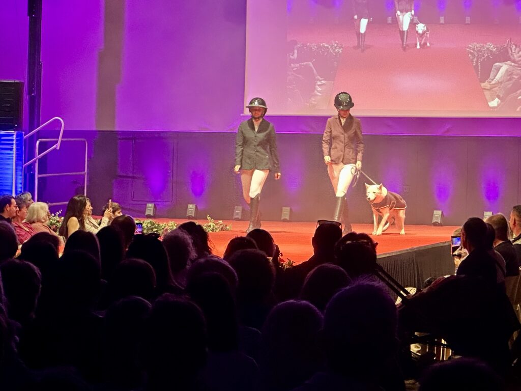 Le défilé de mode fait une nouvelle fois salle comble à l’Hexagone