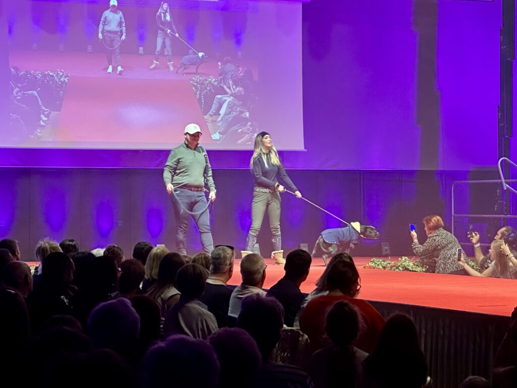 Le défilé de mode fait une nouvelle fois salle comble à l’Hexagone