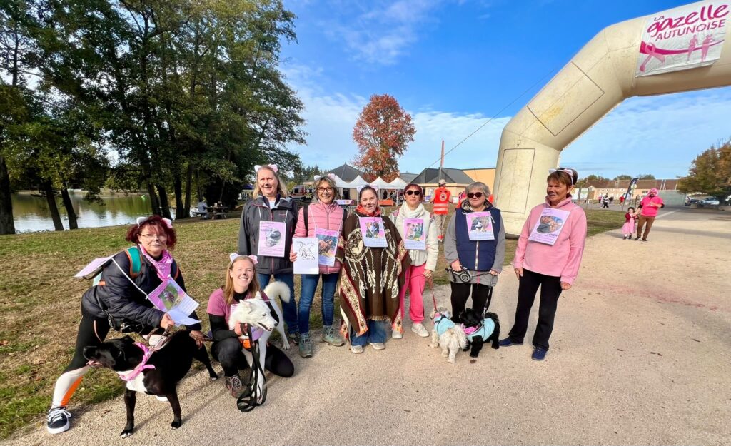 La Gazelle Autunoise : 1 200 participants mobilisés